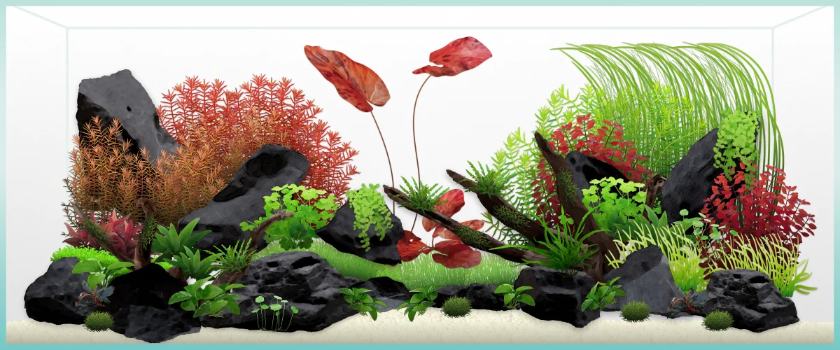 Untitled – Aquascape-Layout von Sri, 120×50×50 cm