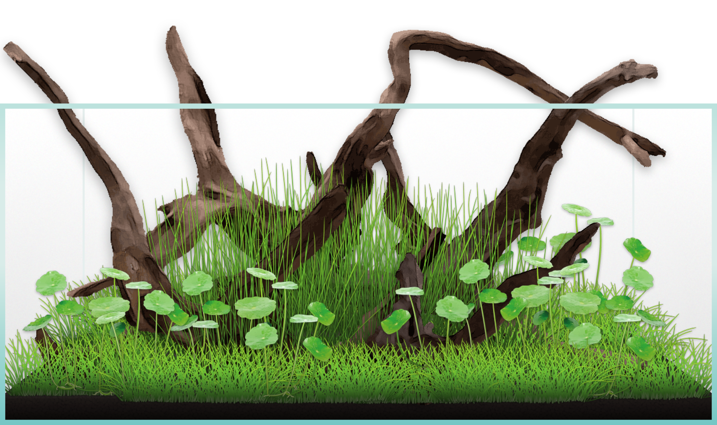 Aquascape "Mingling Branches" erstellt mit Scape It